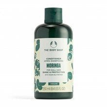 Hoitoaine himmeille hiuksille Moringa (hoitoaine) hinta ja tiedot | Hoitoaineet | hobbyhall.fi