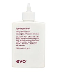 Deep Clean Shampoo kiharille ja aaltoileville hiuksille Springsclean (Deep Clean Rinse) 300 ml hinta ja tiedot | EVO Hiustenhoitotuotteet | hobbyhall.fi