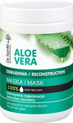 Aloe Vera Mask uudistava naamio kaikille hiustyypeille 1000ml hinta ja tiedot | LLC Elfa Pharm Hajuvedet ja kosmetiikka | hobbyhall.fi