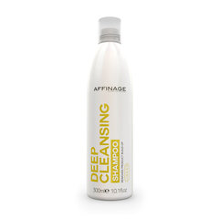Care & Style Deep Cleansing Shampoo puhdistava hiusshampoo 300ml hinta ja tiedot | ASP Hajuvedet ja kosmetiikka | hobbyhall.fi