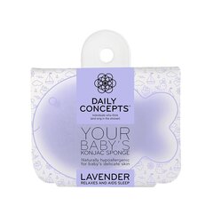 Daily Concepts Baby Fish Sponge Lavender 1 kpl hinta ja tiedot | Lasten ja äitiysajan kosmetiikka | hobbyhall.fi