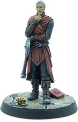 The Elder Scrolls: Call to Arms Volkihar Inner Circle hinta ja tiedot | Pelien oheistuotteet | hobbyhall.fi