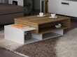 Sohvapöytä Tab, ruskea hinta ja tiedot | Sohvapöydät | hobbyhall.fi