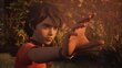 PlayStation 4 peli : Life Is Strange 2 hinta ja tiedot | Tietokone- ja konsolipelit | hobbyhall.fi