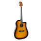 Akustinen kitara mikrofonilla Condorwood AD-200 SB hinta ja tiedot | Kitarat | hobbyhall.fi