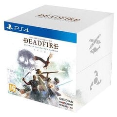 PlayStation 4 peli : Pillars of Eternity II: Deadfire Ultimate Collector's Edition hinta ja tiedot | Tietokone- ja konsolipelit | hobbyhall.fi