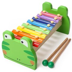 Brimarex Puiset symbaalit Frog TOP BRIGHT hinta ja tiedot | Kehittävät lelut | hobbyhall.fi