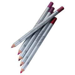 Mavalia Crayon Contour des Levres Lip Liner Pencil, organza hinta ja tiedot | Huulipunat, huulikiillot ja huulirasvat | hobbyhall.fi