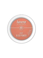 Poskipunapuuteri Velvet (Blush Powder) 5 g hinta ja tiedot | Aurinkopuuterit ja poskipunat | hobbyhall.fi