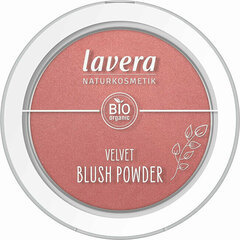 Poskipunapuuteri Velvet (Blush Powder) 5 g hinta ja tiedot | Aurinkopuuterit ja poskipunat | hobbyhall.fi