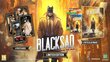 PlayStation 4 peli : Blacksad: Under the Skin Limited Edition hinta ja tiedot | Tietokone- ja konsolipelit | hobbyhall.fi