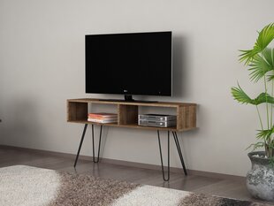 TV-taso Kalune Design 756, 120 cm, ruskea hinta ja tiedot | TV-tasot | hobbyhall.fi