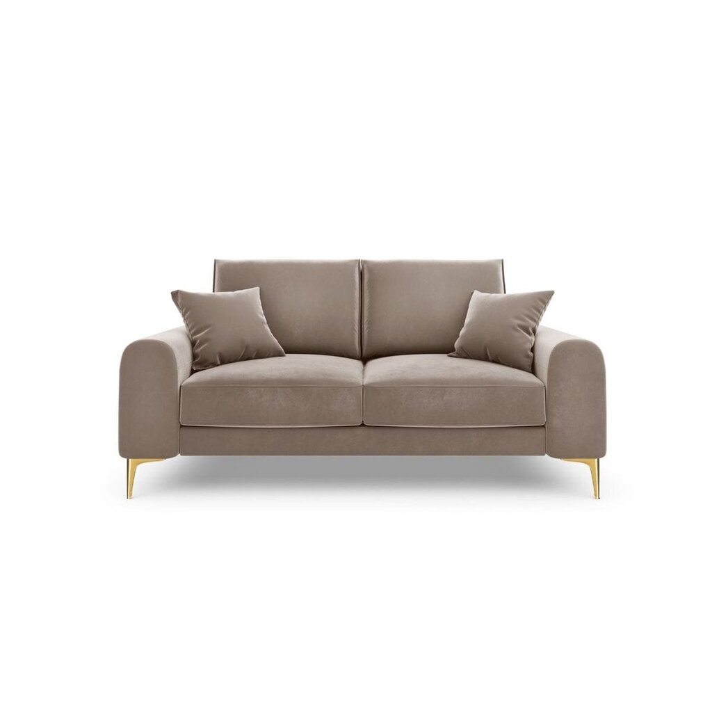 Kahden istuttava sohva Velvet Larnite, 172x102x90 cm, ruskea hinta ja tiedot | Sohvat ja vuodesohvat | hobbyhall.fi