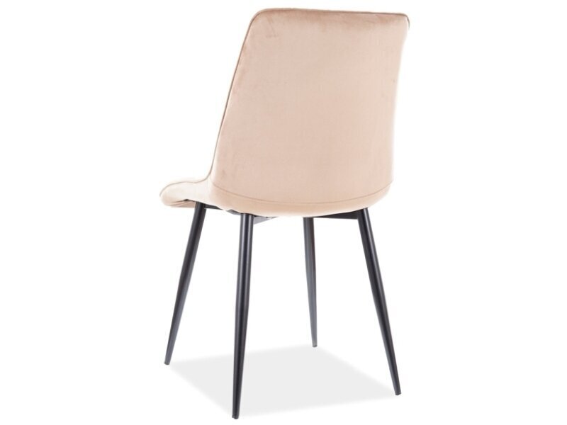 Ruokapöydän tuolisarja Signal Chic D Velvet, 4 tuolia, sininen/ruskea hinta ja tiedot | Ruokapöydän tuolit | hobbyhall.fi