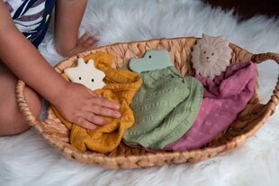 Doudou-leijona purulelu hinta ja tiedot | Vauvan lelut | hobbyhall.fi