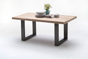 Ruokapöytä MC Akcent Castello, 200x100 cm, valkoinen/harmaa hinta ja tiedot | Ruokapöydät | hobbyhall.fi