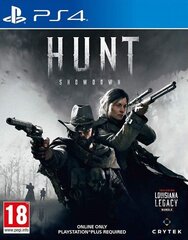 PlayStation 4 peli : Hunt: Showdown, 4020628737498 hinta ja tiedot | Tietokone- ja konsolipelit | hobbyhall.fi