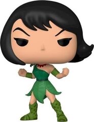 Figuuri Funko Pop! Samurai Jack: Tuhka hinta ja tiedot | Pelien oheistuotteet | hobbyhall.fi