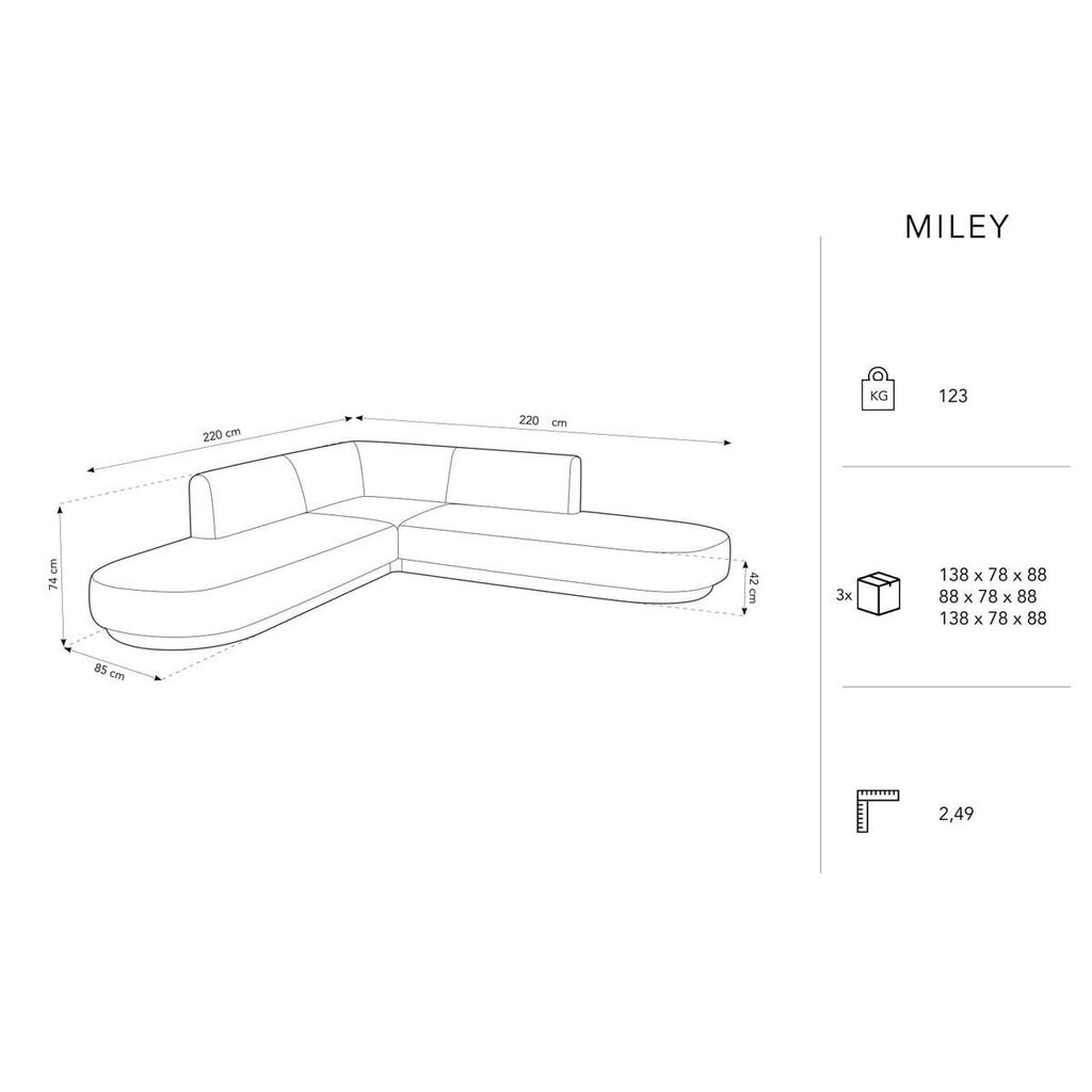 Samettinen symmetrinen kulmasohva Micadoni Miley, 220 x 220 x 74, harmaa hinta ja tiedot | Sohvat ja vuodesohvat | hobbyhall.fi