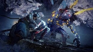 Nioh 2 Standard Edition PS4 hinta ja tiedot | Tietokone- ja konsolipelit | hobbyhall.fi