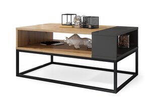Sohvapöytä Signal Afra, ruskea/musta hinta ja tiedot | Sohvapöydät | hobbyhall.fi