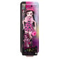 Monster High nukke hinta ja tiedot | Tyttöjen lelut | hobbyhall.fi