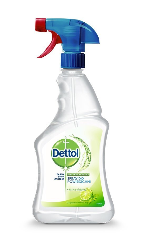 Dettol pintapuhdistussuihke Lime and Mint, 500ml hinta ja tiedot | Puhdistusaineet | hobbyhall.fi