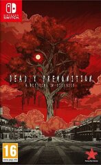 Nintendo Switch peli Deadly Premonition 2: A Blessing in Disguise hinta ja tiedot | Rising Star Games Tietokoneet ja pelaaminen | hobbyhall.fi