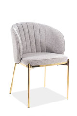 2 tuolin setti Signal Meble Prado, harmaa hinta ja tiedot | Ruokapöydän tuolit | hobbyhall.fi