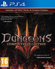 PlayStation 4 peli : Dungeons 3 Complete Collection hinta ja tiedot | Tietokone- ja konsolipelit | hobbyhall.fi