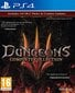 PlayStation 4 peli : Dungeons 3 Complete Collection hinta ja tiedot | Tietokone- ja konsolipelit | hobbyhall.fi