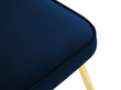 Micadoni Home Ari, sinisen värinen tuoli hinta ja tiedot | Ruokapöydän tuolit | hobbyhall.fi