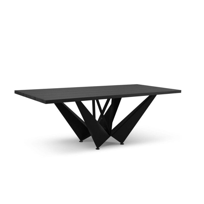 Ruokapöytä Micadoni Home Lottie 260x100cm, musta hinta ja tiedot | Ruokapöydät | hobbyhall.fi