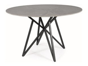 Ruokapöytä Signal Murano, harmaa/musta hinta ja tiedot | Ruokapöydät | hobbyhall.fi