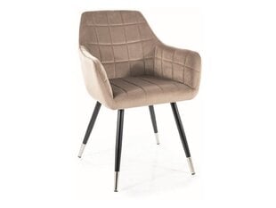 Ruokailutuolisarja Signal Nuxe Velvet, 2 tuolia, beige/musta hinta ja tiedot | Ruokapöydän tuolit | hobbyhall.fi