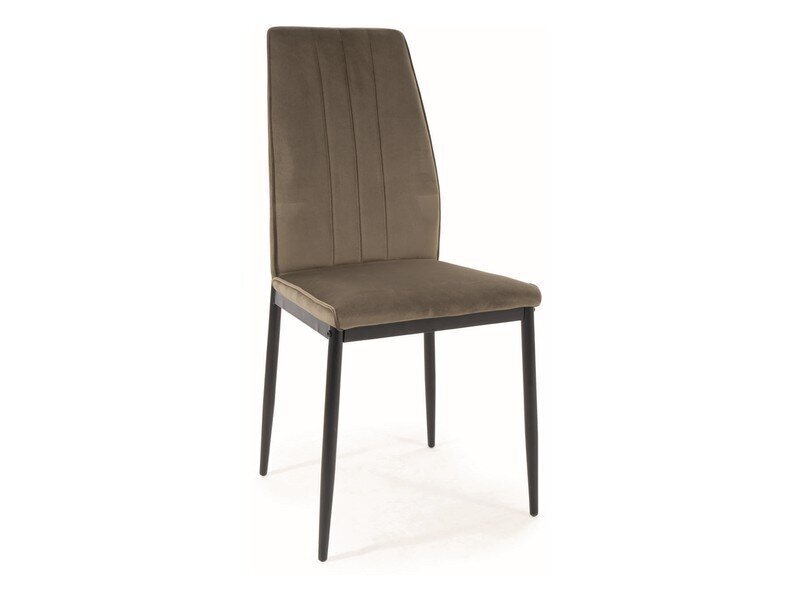 Ruokailutuolisarja Signal Atom Velvet, 4 tuolia, ruskea/musta hinta ja tiedot | Ruokapöydän tuolit | hobbyhall.fi