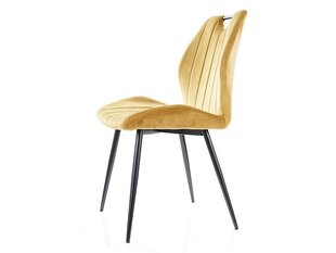 Ruokailutuolisarja Signal Arco Velvet, 4 tuolia, harmaa/musta hinta ja tiedot | Ruokapöydän tuolit | hobbyhall.fi