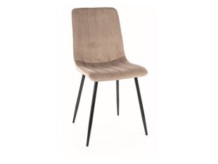 Ruokailutuolisarja Signal Alan Velvet, 4 tuolia, beige/musta hinta ja tiedot | Ruokapöydän tuolit | hobbyhall.fi