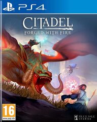 PlayStation 4 peli : Citadel: Forged With Fire hinta ja tiedot | Blue Isle Studios Tietokoneet ja pelaaminen | hobbyhall.fi