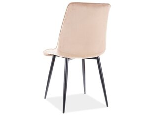 Ruokailutuolisarja Signal Chic Monolith, 4 tuolia, harmaa/musta hinta ja tiedot | Ruokapöydän tuolit | hobbyhall.fi