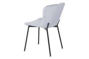 Ruokailutuolisarja Signal Colby Velvet, 4 tuolia, harmaa/musta hinta ja tiedot | Ruokapöydän tuolit | hobbyhall.fi