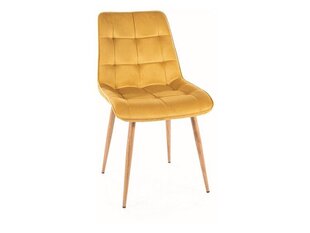 Ruokailutuolisarja Signal Chic D Velvet, 4 tuolia, keltainen/ruskea hinta ja tiedot | Ruokapöydän tuolit | hobbyhall.fi