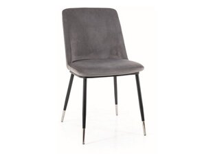 Ruokailutuolisarja Signal Jill Velvet, 4 tuolia, harmaa/musta hinta ja tiedot | Ruokapöydän tuolit | hobbyhall.fi