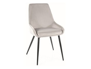 Ruokailutuolisarja Signal Cobe Velvet, 4 tuolia, harmaa/musta hinta ja tiedot | Ruokapöydän tuolit | hobbyhall.fi