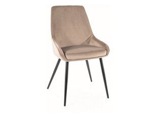 Ruokailutuolisarja Signal Cobe Velvet, 4 tuolia, beige/musta hinta ja tiedot | Ruokapöydän tuolit | hobbyhall.fi
