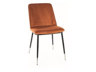 Ruokailutuolisarja Signal Jill Velvet, 4 tuolia, oranssi/musta hinta ja tiedot | Ruokapöydän tuolit | hobbyhall.fi