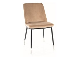 Ruokailutuolisarja Signal Jill Velvet, 4 tuolia, beige/musta hinta ja tiedot | Ruokapöydän tuolit | hobbyhall.fi