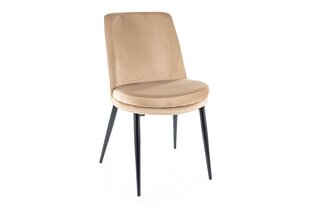 Ruokailutuolisarja Signal Kayla Velvet, 4 tuolia, beige/musta hinta ja tiedot | Ruokapöydän tuolit | hobbyhall.fi