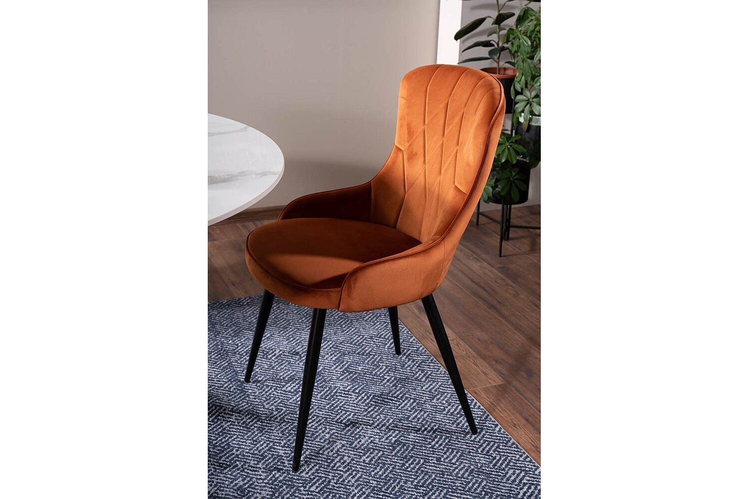 Ruokailutuolisarja Signal Lotus Velvet, 4 tuolia, oranssi/musta hinta ja tiedot | Ruokapöydän tuolit | hobbyhall.fi