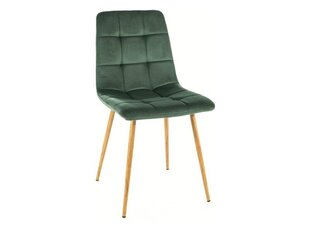 Ruokailutuolisarja Signal Mila D Velvet, 4 tuolia, vihreä/ruskea hinta ja tiedot | Ruokapöydän tuolit | hobbyhall.fi
